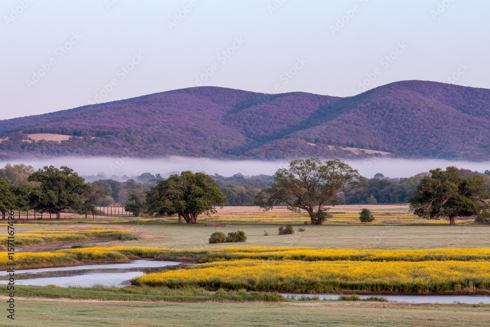 Naklejka premium Misty morning landscape, with a meandering waterway and vibrant yellow wildflowers, leading to a purple mountain range
