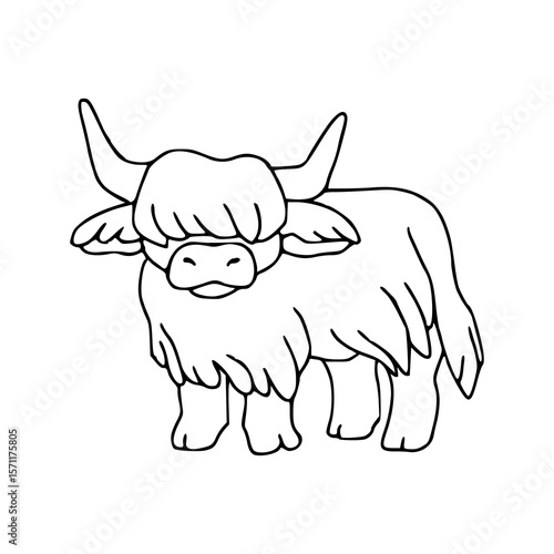 cute highland cow outline drawing