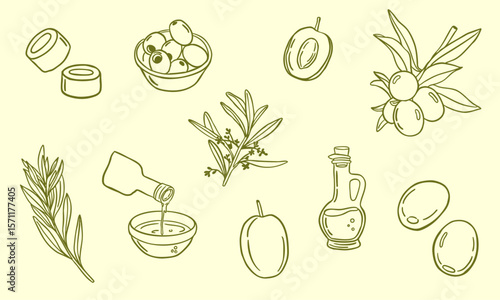 olive elements plants and fruit - doodle hand drawn illustration sketch with green line art - vector collection set