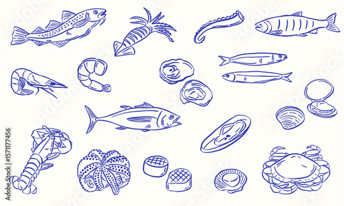 seafood sketch illustration hand drawn style - fish seashell - collection set