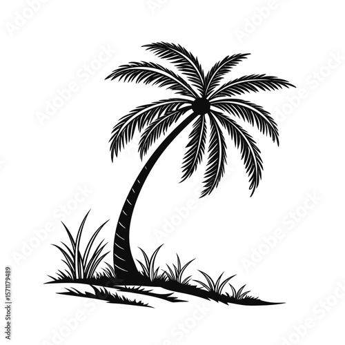 palm tree silhouette