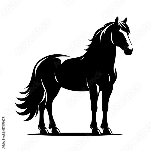 Horse Standing Still