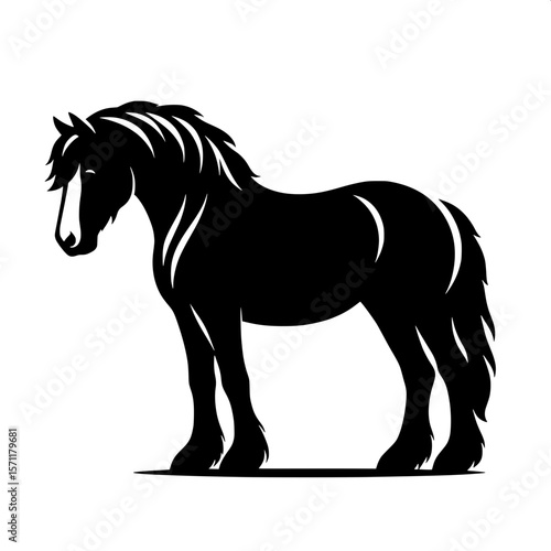 Horse Standing Still
