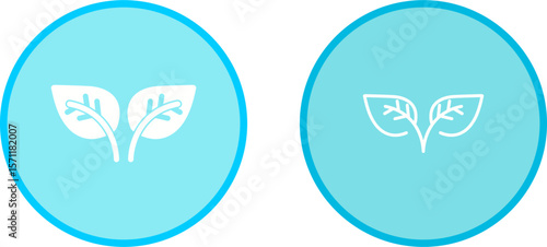 Leaf Vector Icon