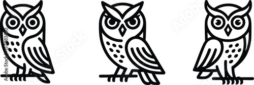 Three stylized black line art owls perched on branches against 