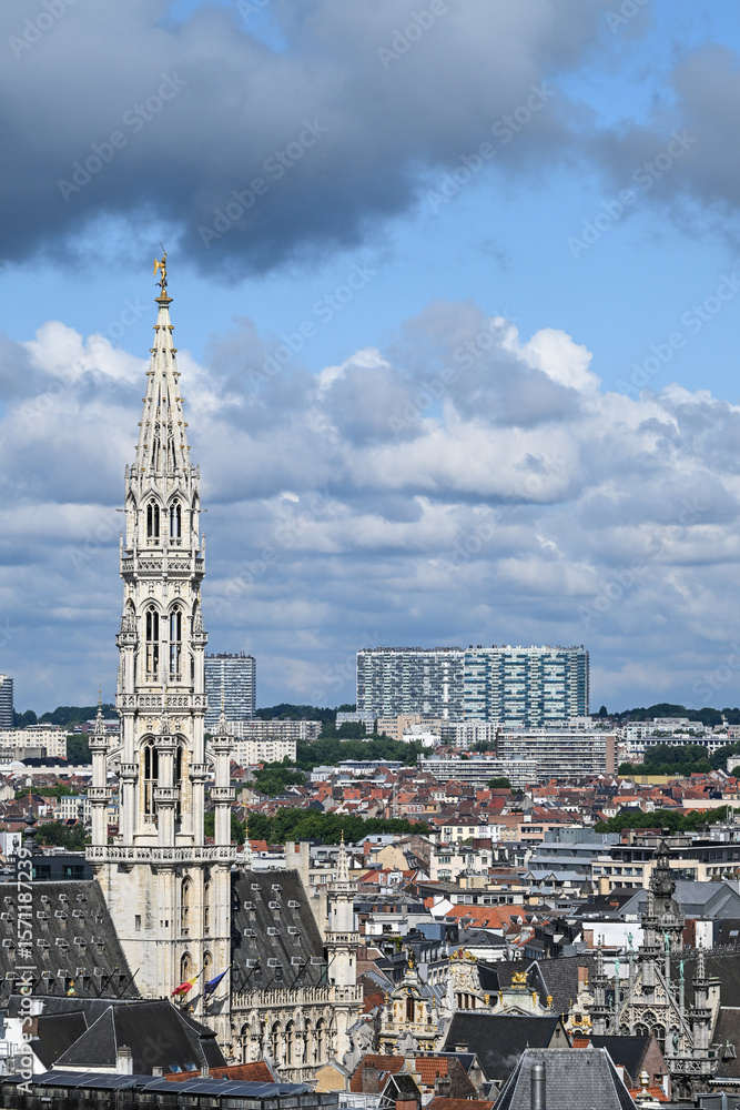 Obraz premium Belgique Bruxelles hotel de ville
