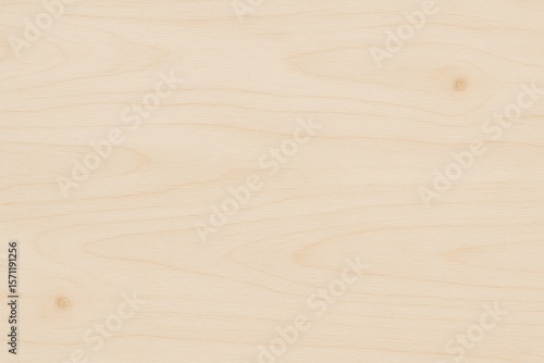 Wallpaper Mural Bleached Birch Wood Wooden Texture Torontodigital.ca