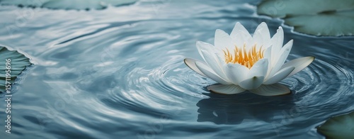 In a lotus floral abstract background, a serene water lily is shown floating gracefully on calm waters, exemplifying nature's beauty
