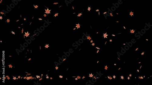 Autumn Leaves Falling Overlay, Autumn Leaves Falling and  Piling Up on Black, Nature Transition,  Falling Maple Leaves Effect, red and orange maple leaves gently drifting down on black background.
