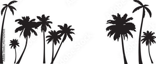 palm tree silhouette
