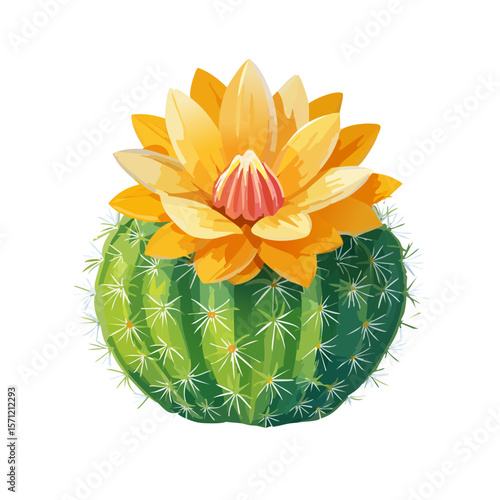 Cactus with Flower Isolated...