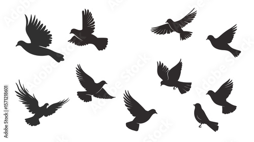 Pigeons vector graphic design featuring a group of stylized pigeons in various poses, including flying and perching, created in a clean modern vector style—ideal for urban nature themes