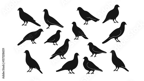 Pigeons vector graphic design featuring a group of stylized pigeons in various poses, including flying and perching, created in a clean modern vector style—ideal for urban nature themes