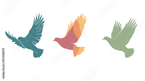 Pigeons vector graphic design featuring a group of stylized pigeons in various poses, including flying and perching, created in a clean modern vector style—ideal for urban nature themes