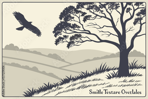 Soft and Subtle Texture Overlays for Elegant Visual Enhancement