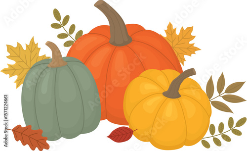 Autumn composition with colorful pumpkins and leaves. Still life harvest for thanksgiving day isolated on white background