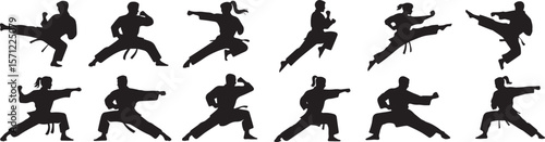 Martial Arts Karate Silhouettes in Action Poses Vector Illustration