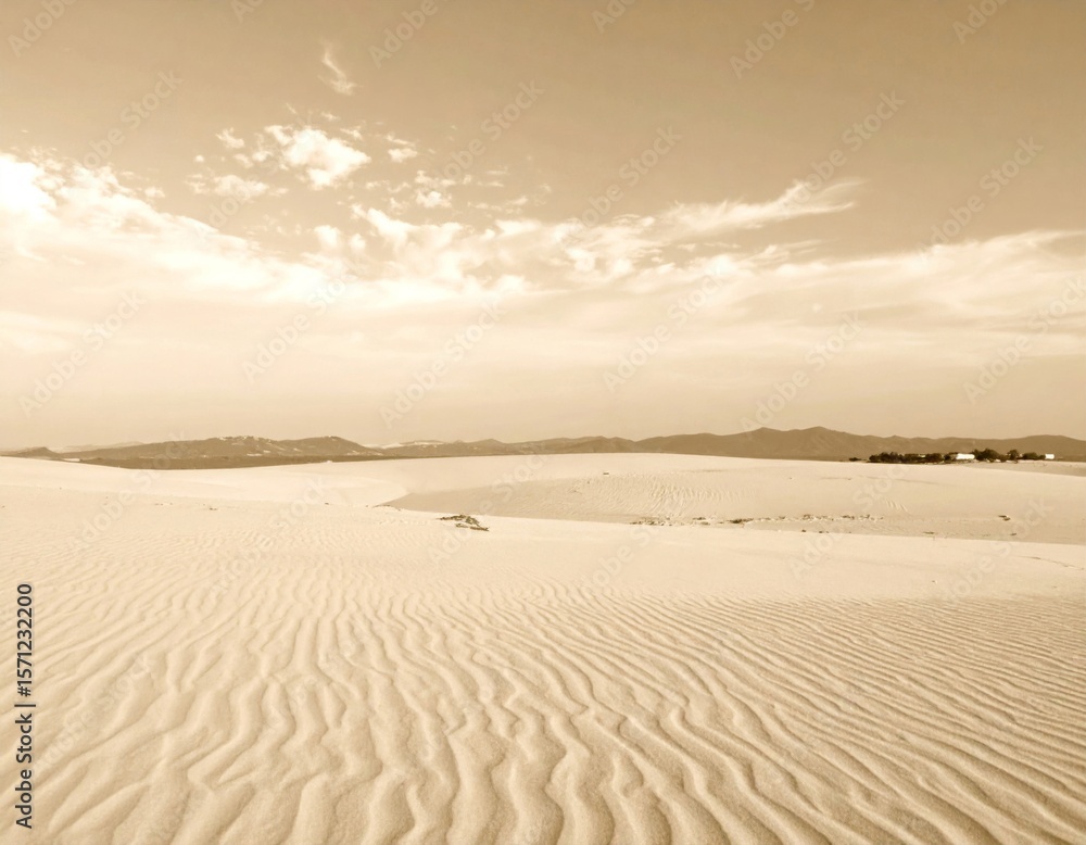 Naklejka premium Sepia Desert Landscape with Rolling Sand Dunes