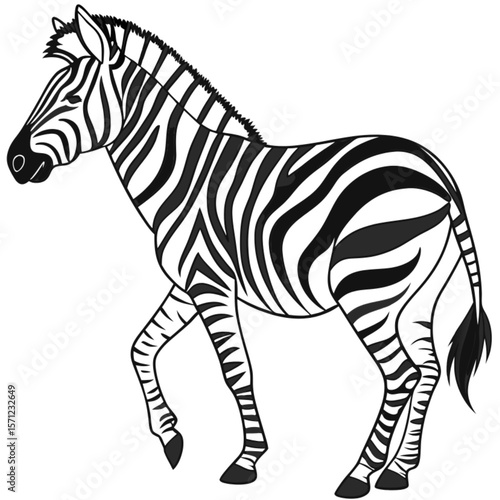 zebra cartoon isolated on white