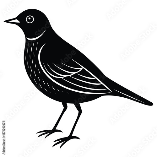 Lark single vector shilhouette 