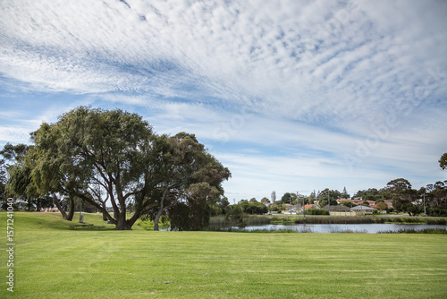 Mowed grass and lake in a park in a suburban setting