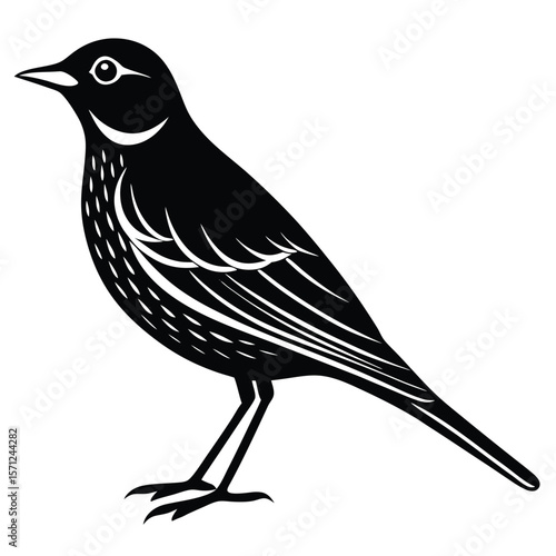 Lark single vector shilhouette 