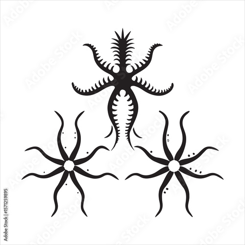 brittle star silhouette vector art