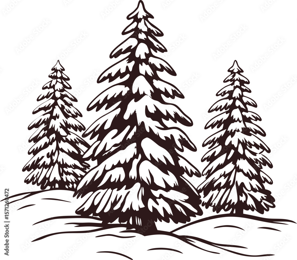 Fototapeta premium Hand drawn evergreen pine trees with snow isolated on white background vintage winter forest illustration