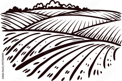 Hand drawn illustration of a rural farmland field with rolling hills and distant trees, vintage engraving