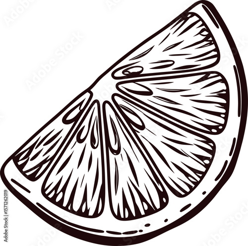 Hand drawn lemon wedge illustration in vintage engraving on white background