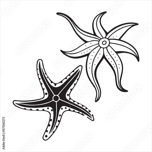 brittle star silhouette vector art