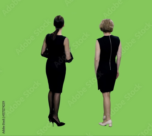 Rear view two mid adult women in black dresses standing and watching at something on green chroma key background