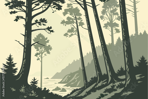 Foggy Redwoods by the Coast