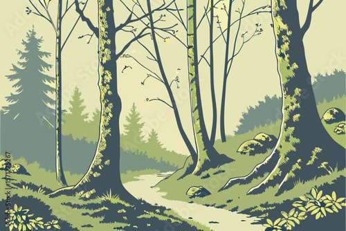 Moss‑Covered Tree Trunks