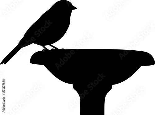 Silhouette of a Bird Resting on a Bird Bath in stark contrast
