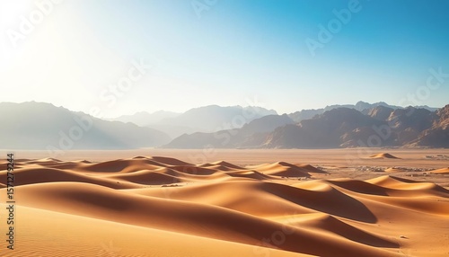 Stark, sun-baked Sinai desert landscape with windswept sand dunes and rugged mountains,  texture,  rocks