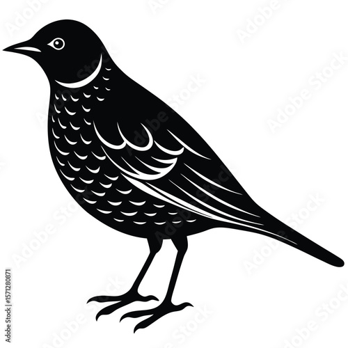 Lark single vector shilhouette 