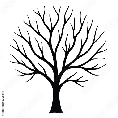  Stylized silhouette of a bare tree with intricate branching pattern against a white background