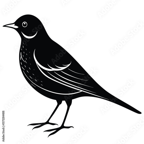 Lark single vector shilhouette 