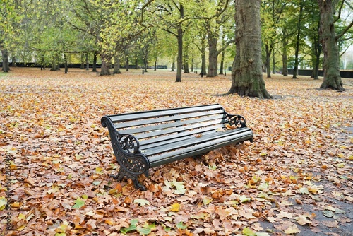 фотографія A wooden bench in park with autumn leaves on the ground