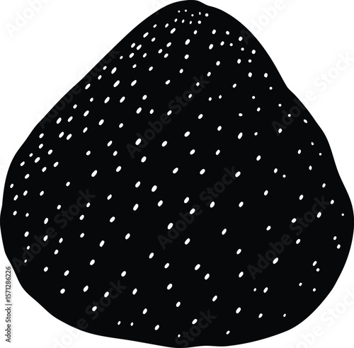 pumice stone on white background.eps