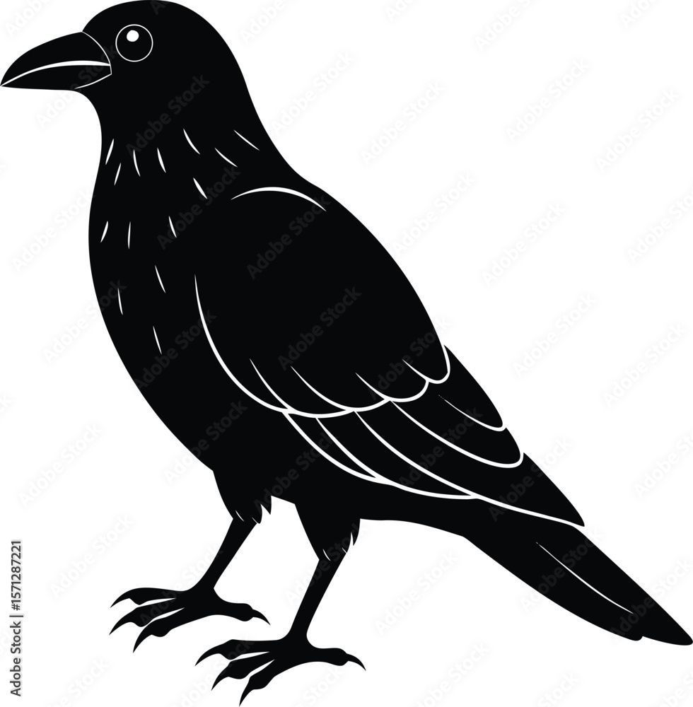 Fototapeta premium raven on white background.eps