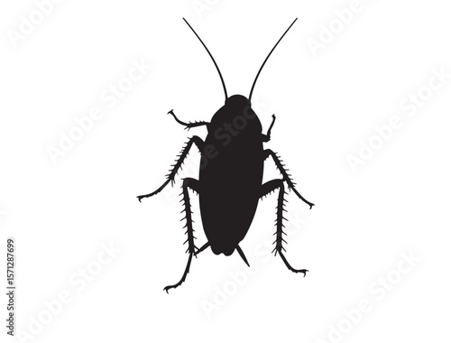 Cockroach Silhouette black Vector Image white background