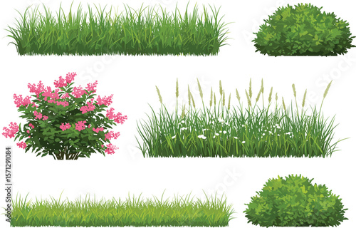 Green grass, flowering shrub, bush and meadow plant illustration set, perfect for landscaping design, spring garden, botanical clipart collection