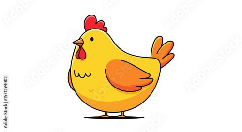 Understanding the anatomy of a friendly yellow farm chicken and its daily routines