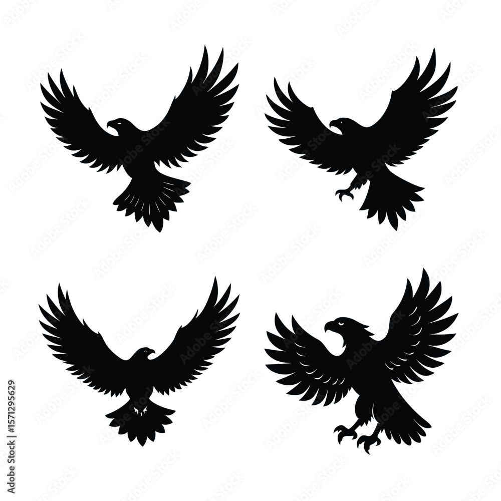 Obraz premium Eagle Bundile