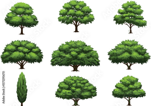 Set of realistic green trees and shrubs on white background, ideal for landscaping, park design, garden scenes, or nature illustration