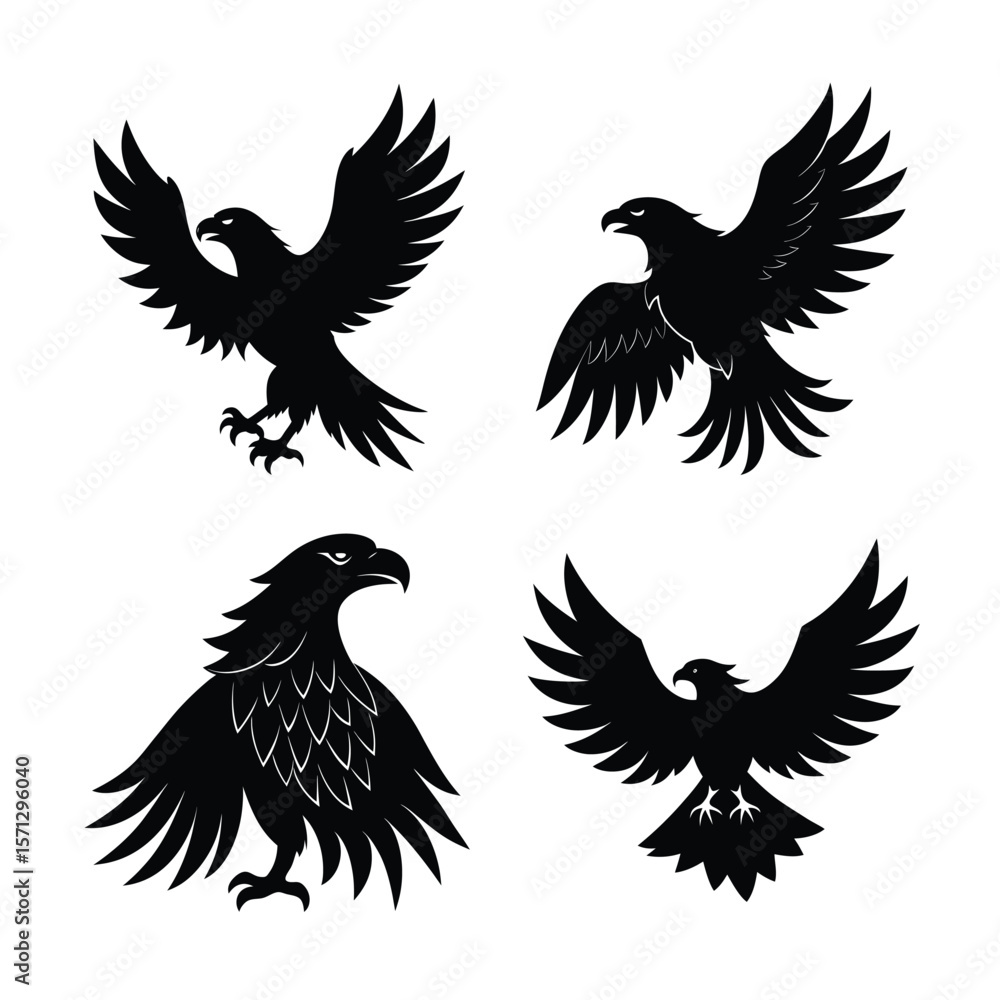 Obraz premium Eagle Bundile