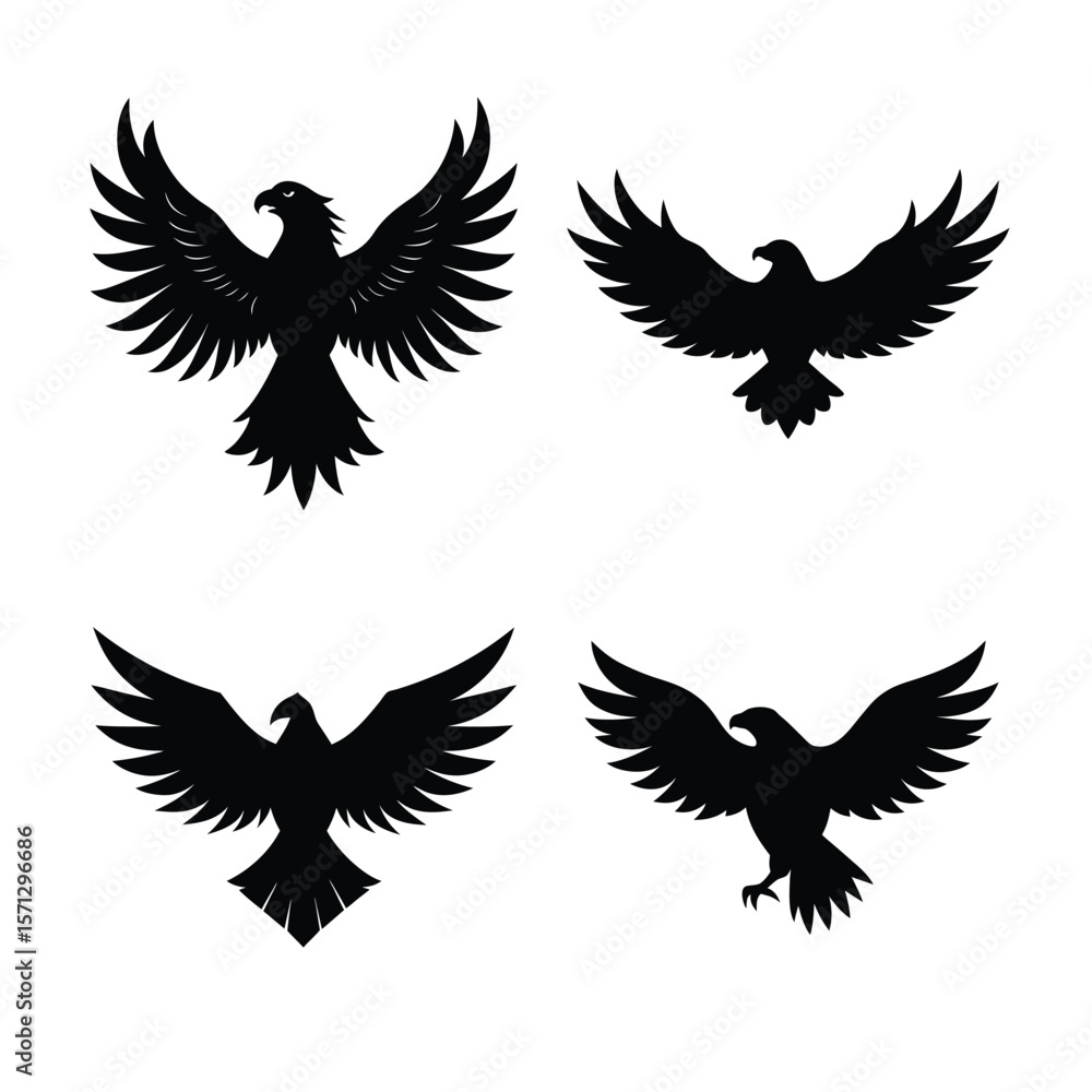 Fototapeta premium Eagle Bundile