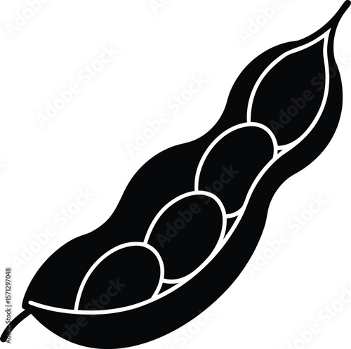soybean on white background.eps